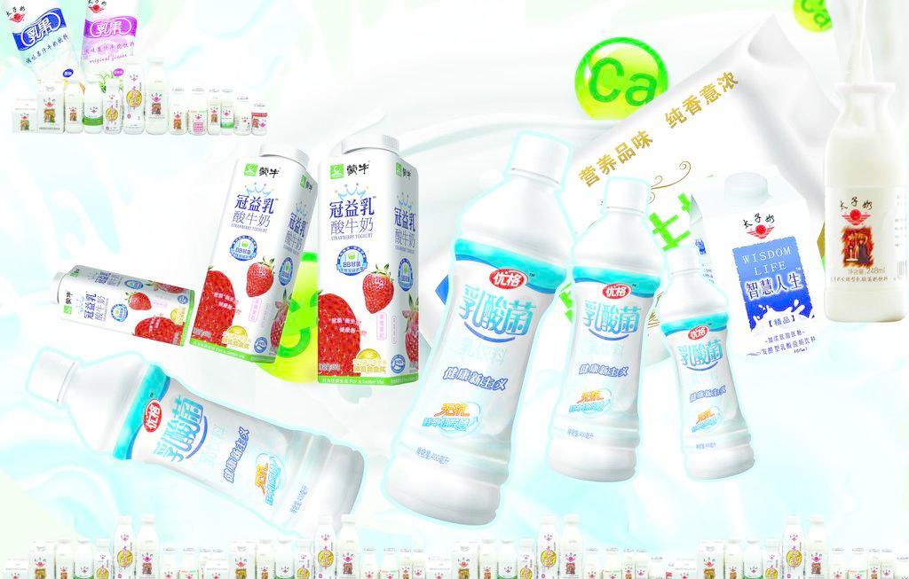 乳酸菌 小小微生物，守護大健康——日用百貨中的健康衛士